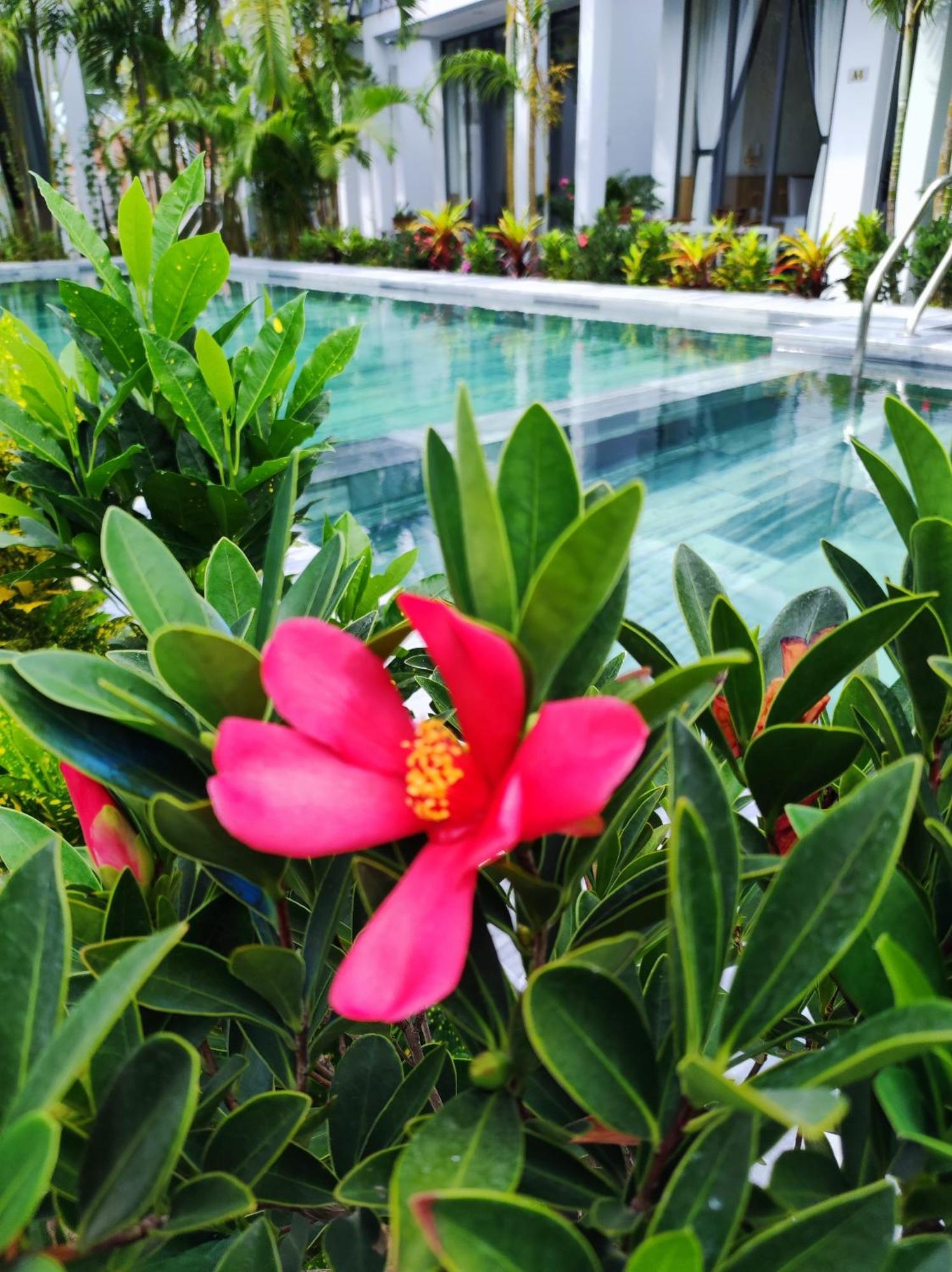 Ngoc Trai Xanh Bungalow 두옹 동 외부 사진